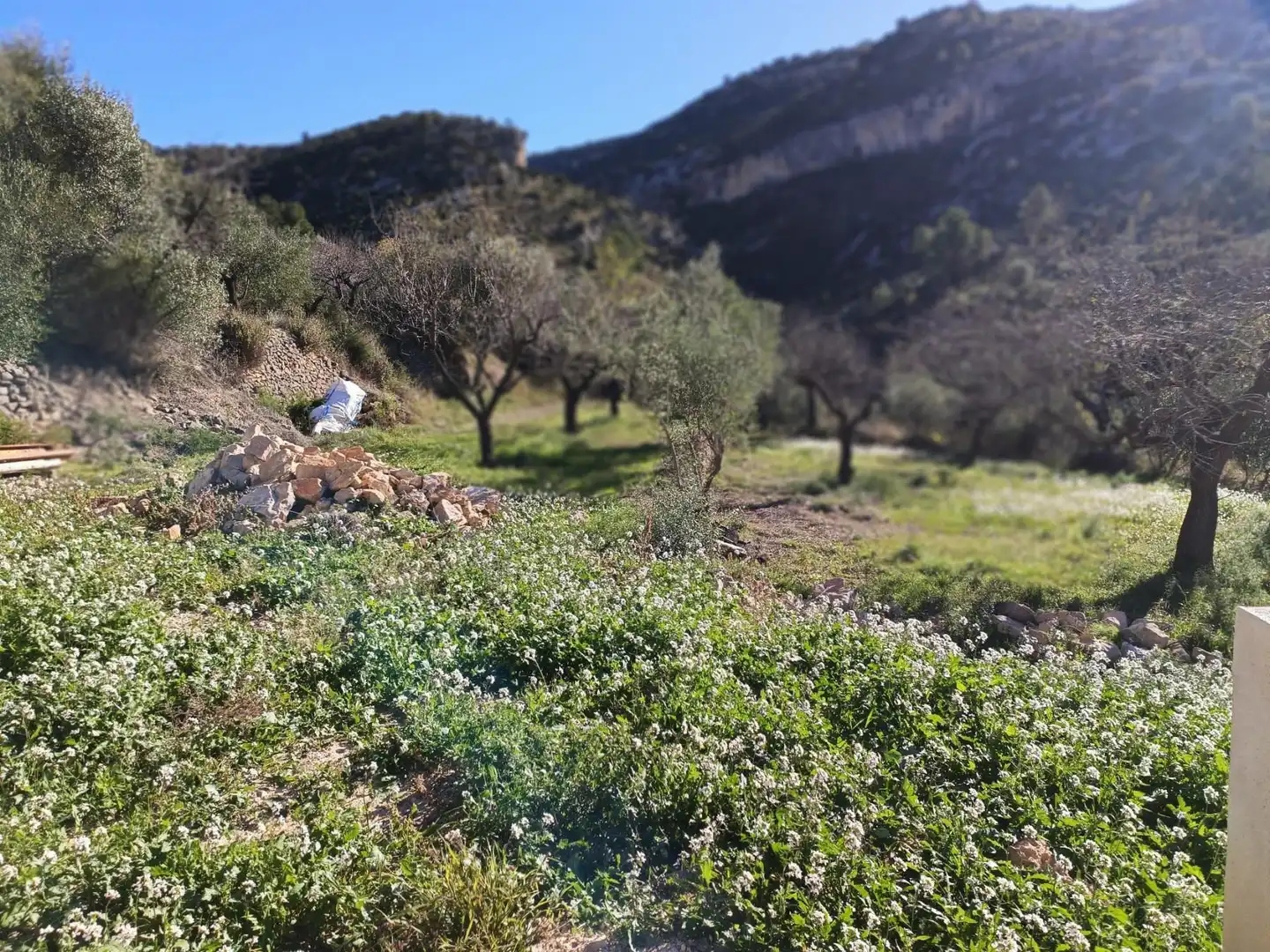 Finca rústica en venda a Sierra Engarcerán