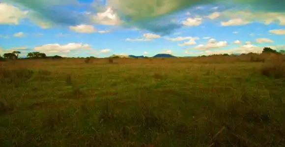 Terreno en venta en Llucmajor