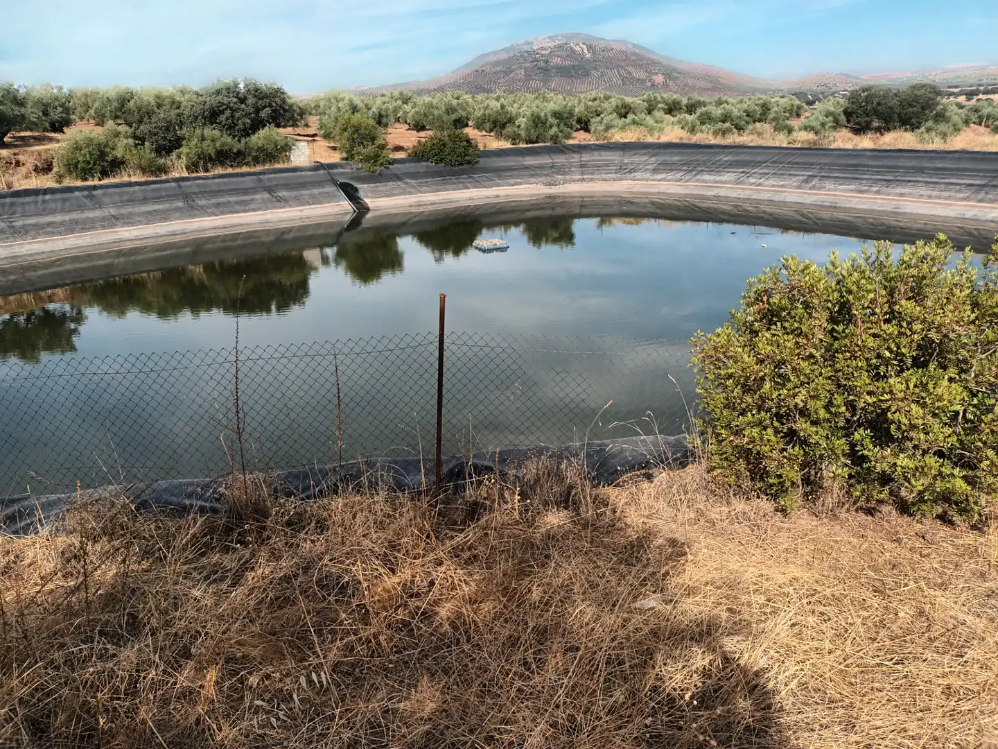 Swimming pool of Land for sale in Arquillos