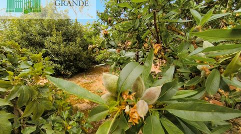 Photo 4 of Houses for sale in Calle Carro la Iglesia, 2, Pedraza de Campos, Palencia