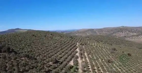 Terreno rustico in vendita a Villanueva de la Concepción