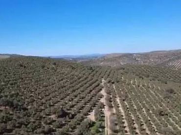 Terreno rustico in vendita a Villanueva de la Concepción
