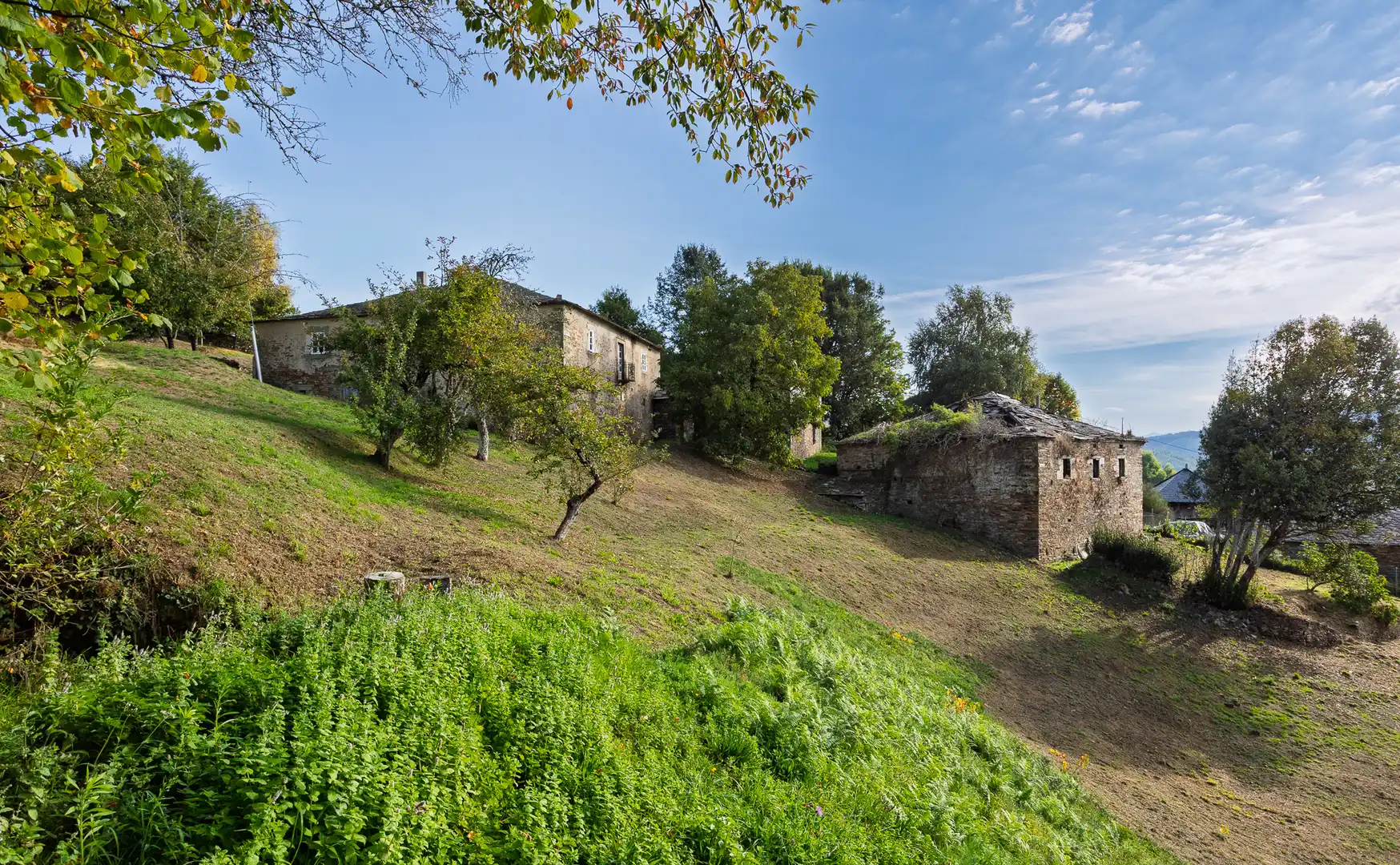 Vista exterior de Finca rústica en venta en A Fonsagrada  con Amueblado