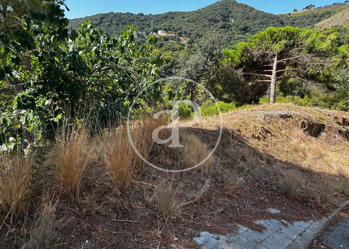 Terreny residencial en venda a Carrer Segarra, imagen 24