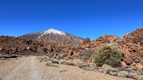 Photo 5 of Premises for sale in Los Abrigos, Granadilla de Abona