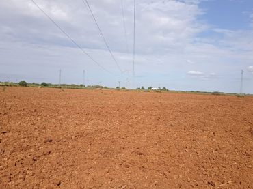 Terreno rustico in vendita a Calle Cardenal Segura 1