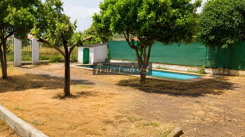 Foto 3 de Casa o chalet en venta en Alcuéscar, Cáceres