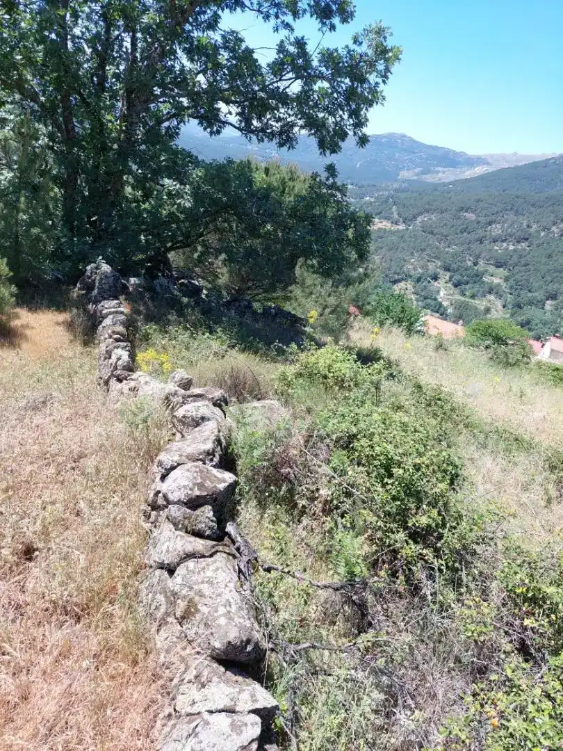Finca rústica en venta en Mijares