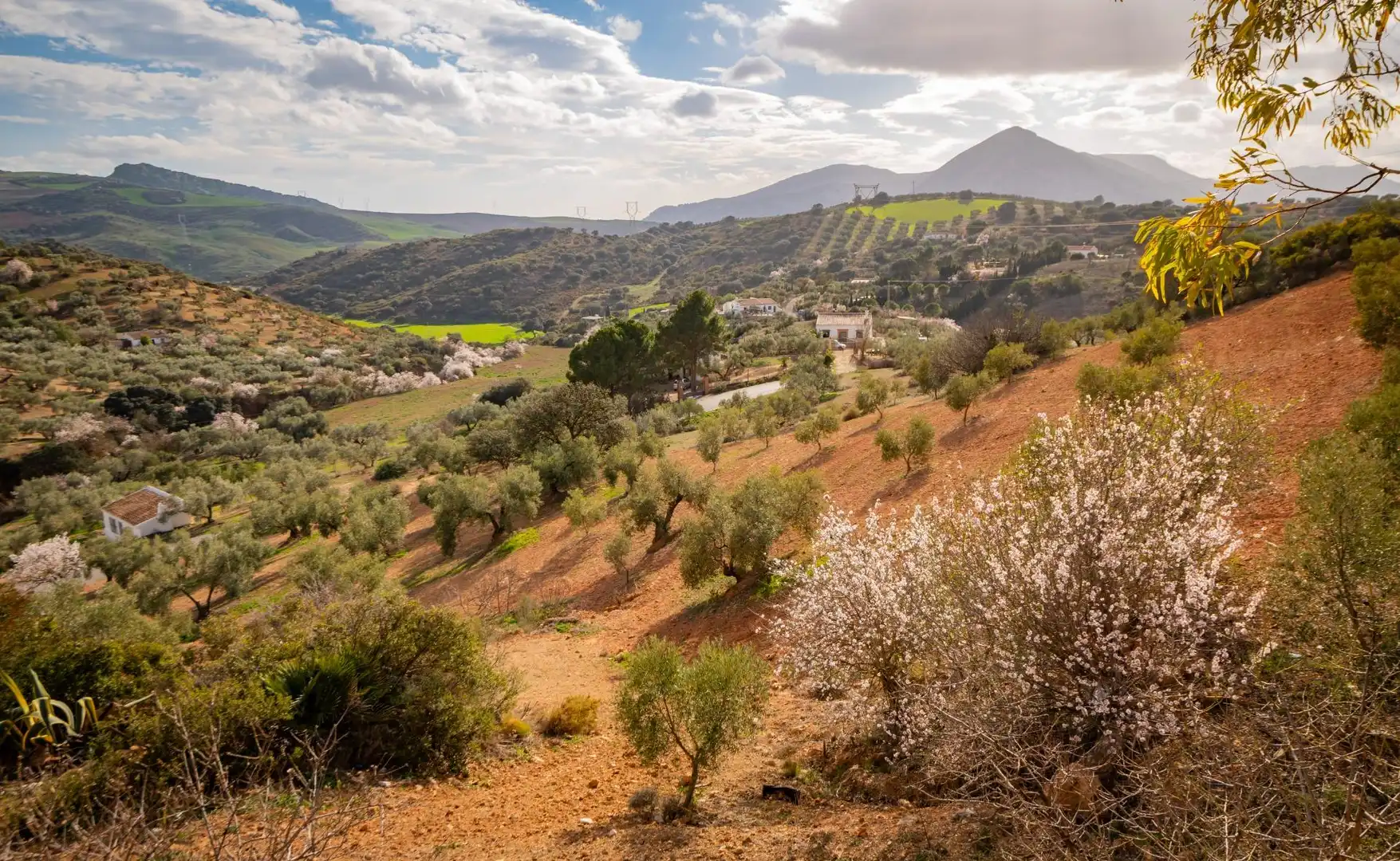 Vista exterior de Finca rústica en venta en Antequera