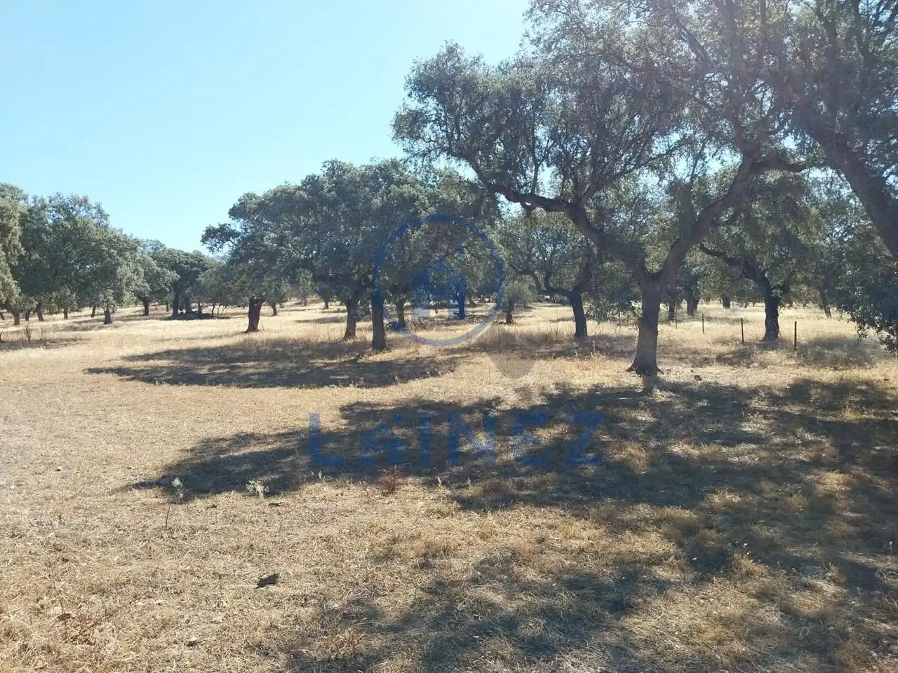 Lands and plots for sale in Fuente Obejuna, imagen 4