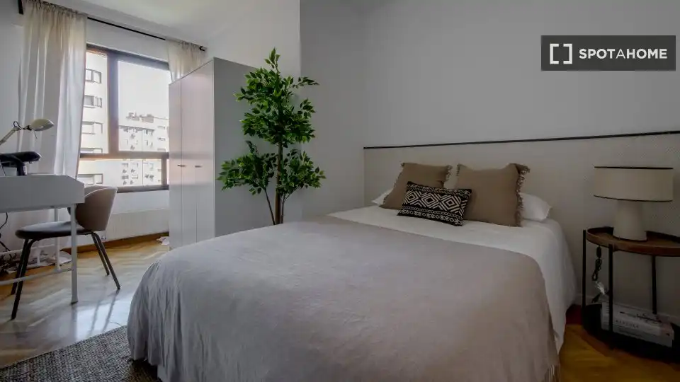 Room in Estrella