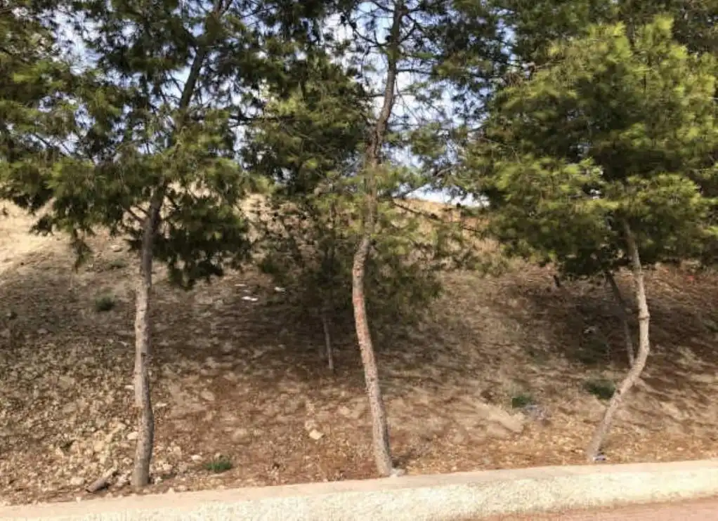 Grundstücke und Bauplätze zum Verkauf in ALTOSMOROS