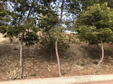 Terreno rustico in vendita a ALTOSMOROS