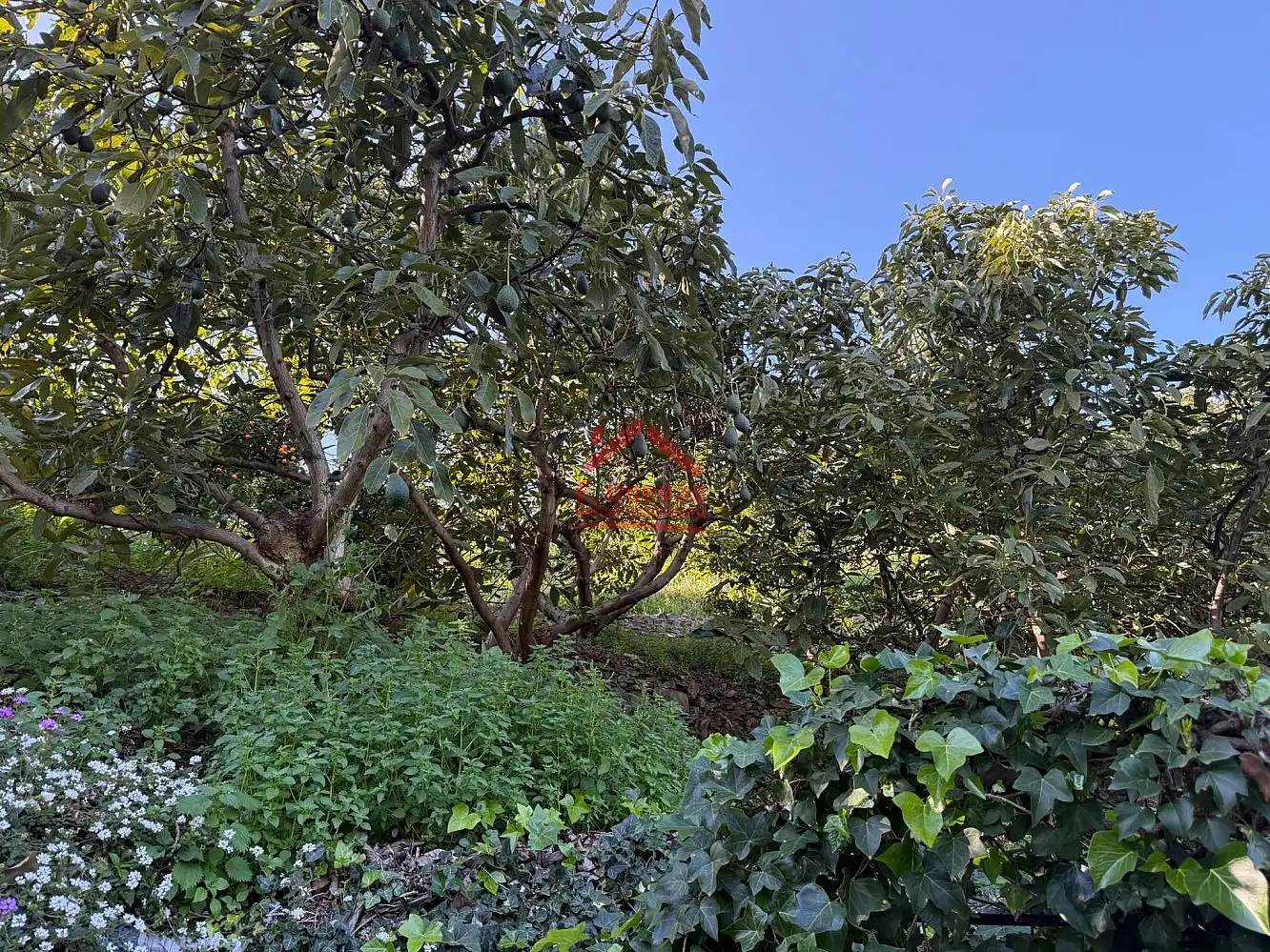 Garden of Country homes for sale in Sayalonga  with Air Conditioner, Heating and Terrace