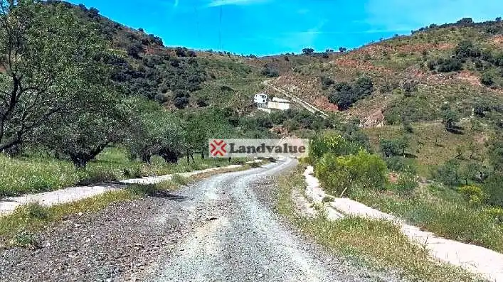 Terreni e lotti in vendita a Almogía, imagen 12