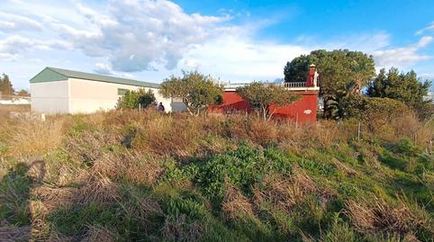Foto 4 de Finca rústica en venda a Calle las Veguetas, Carretera de Sanlúcar - Sudamérica, El Puerto de Santa María