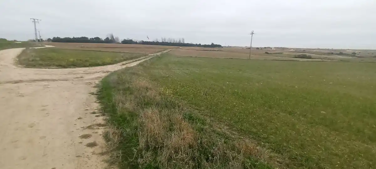 Finca rústica en venda en Brunete