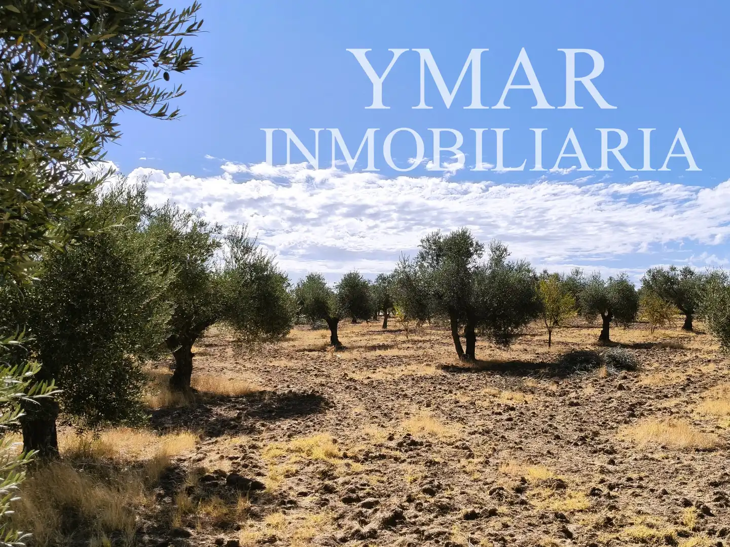 Land for sale in Santo Domingo-Caudilla