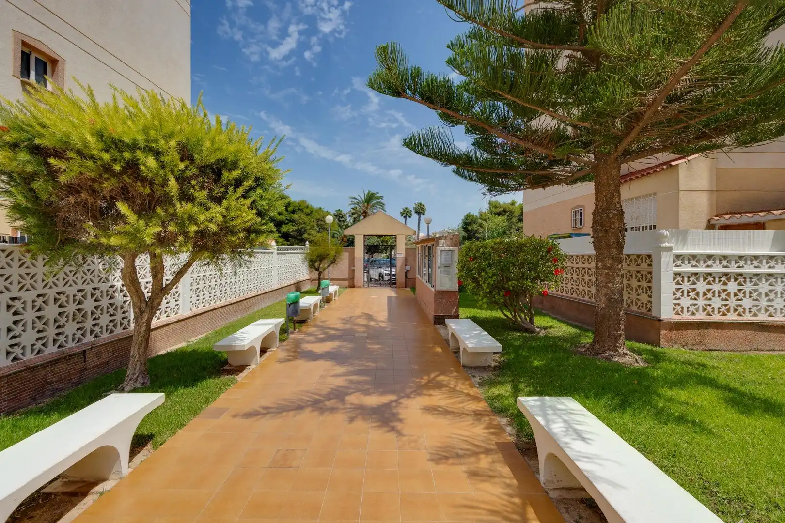 Jardín de Apartamento en venta en Torrevieja con Terraza, Amueblado y Piscina comunitaria