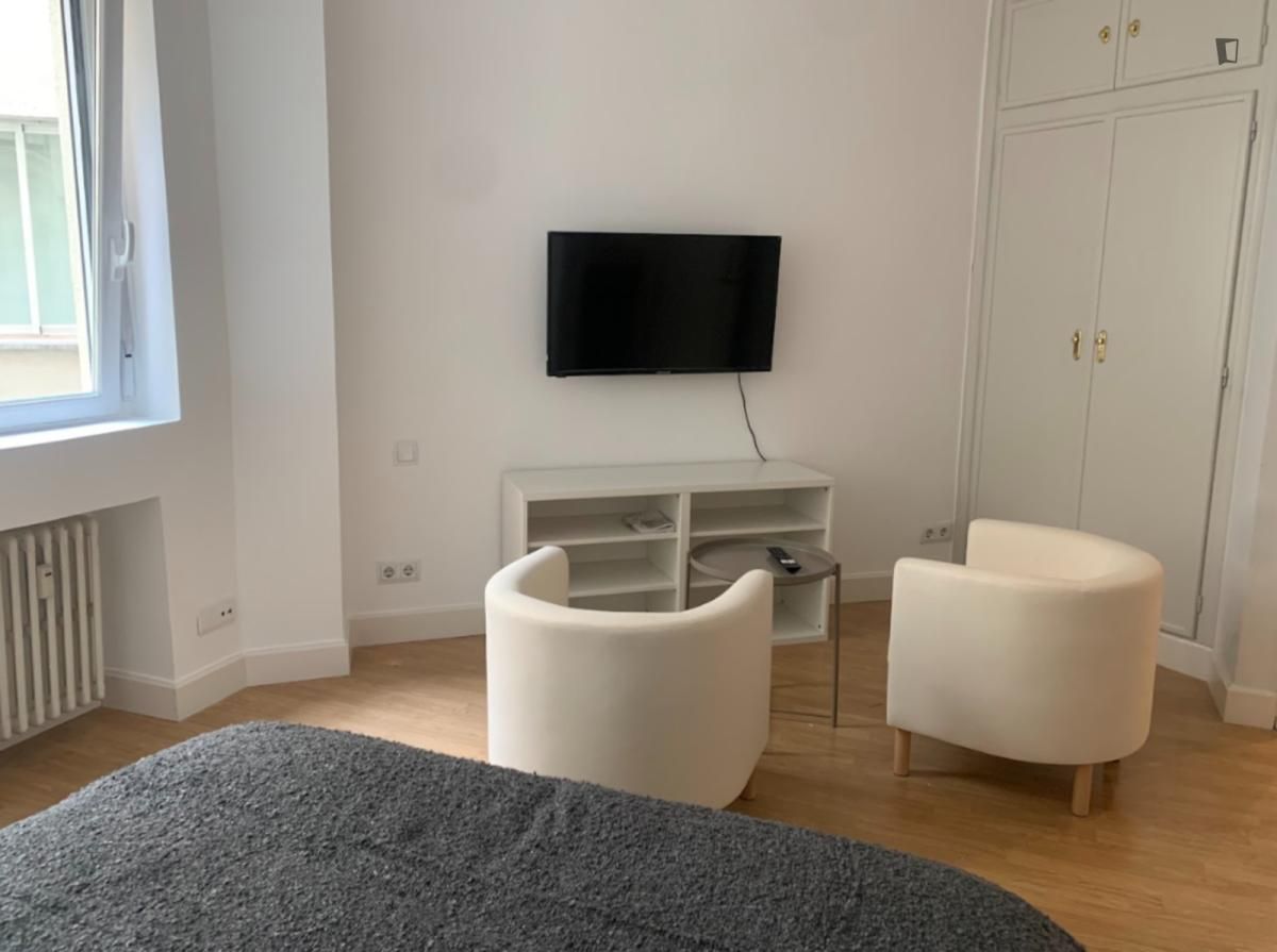 Sala d'estar de Estudi de lloguer en  Madrid Capital amb Aire condicionat, Calefacció i Moblat