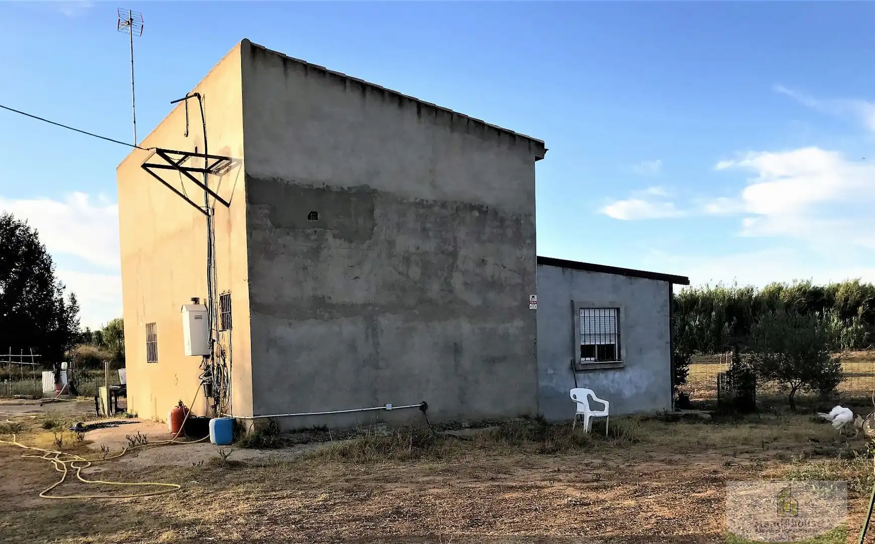 Vista exterior de Finca rústica en venta en Rociana del Condado