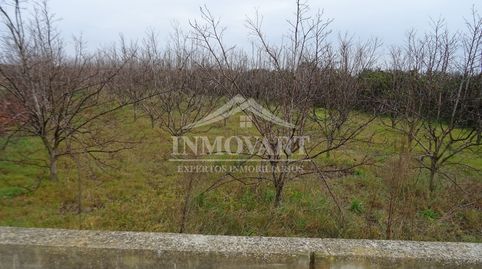Immagine 3 dell'annuncio