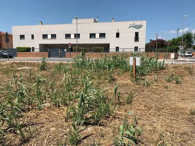Terreny residencial en venda a MOLINS NOUS 49, imagen 6