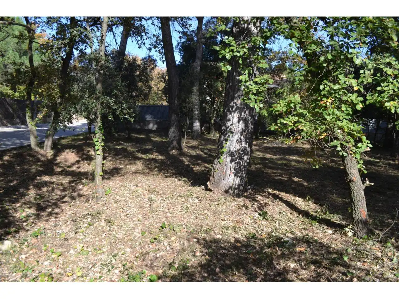 Terrain résidentiel à vendre à Calle Cavall Bernat, imagen 9