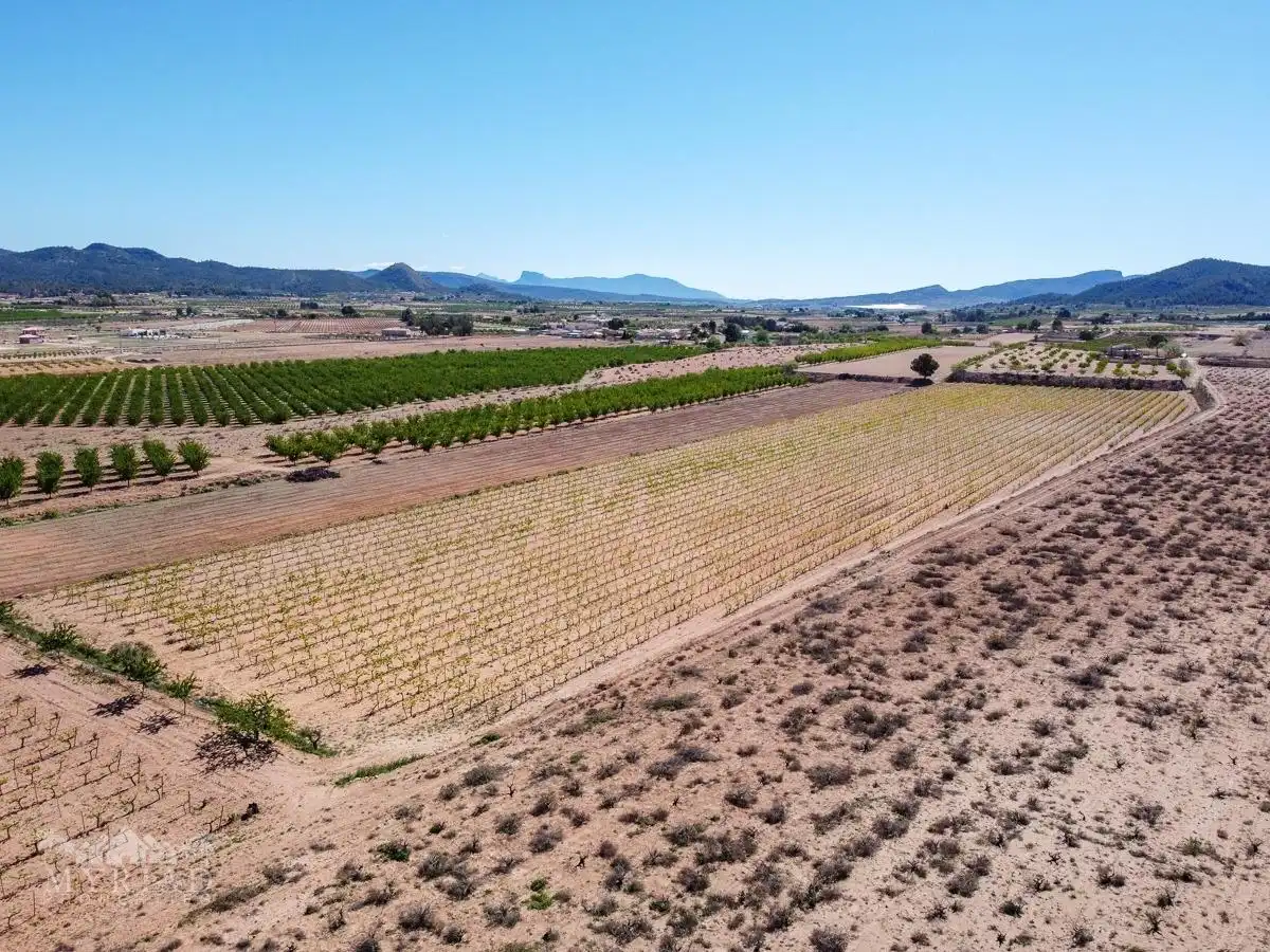 Terreno residencial en venta en El Pinós / Pinoso, imagen 3