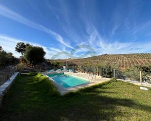 Swimming pool of Country house to rent in Ronda