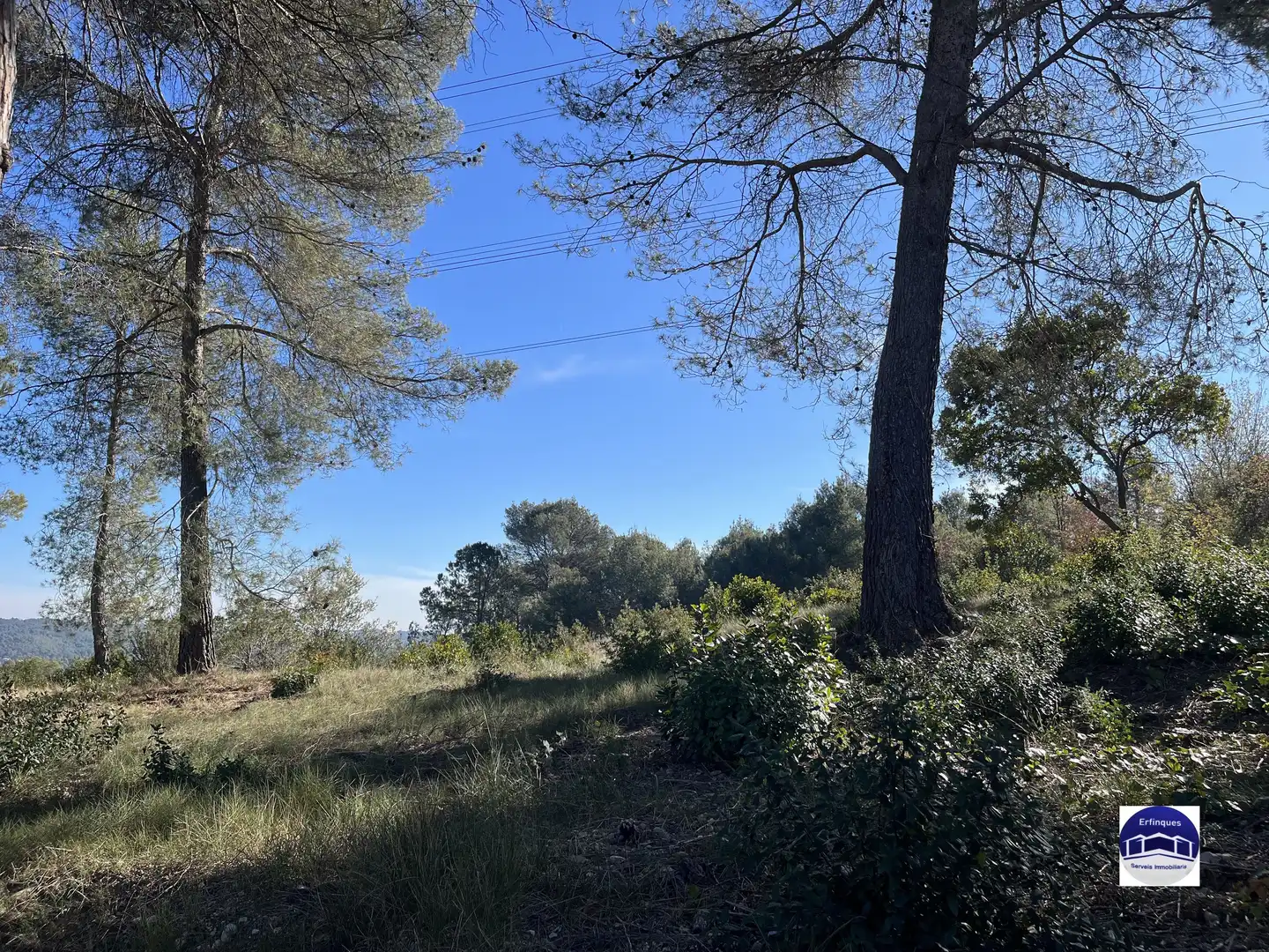 Terrain résidentiel à vendre à Carrer de Banyoles, imagen 4