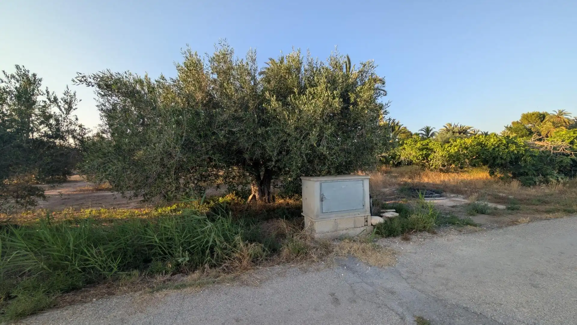 Rustikales Grundstück zum Verkauf in Algorós - El Derramador, imagen 2