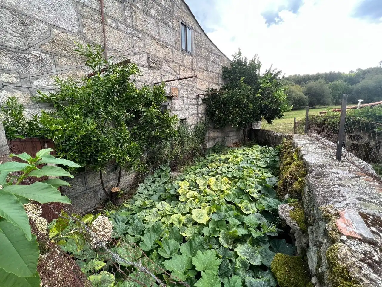 Maison avec jardin à vendre à Paderne de Allariz, imagen 23