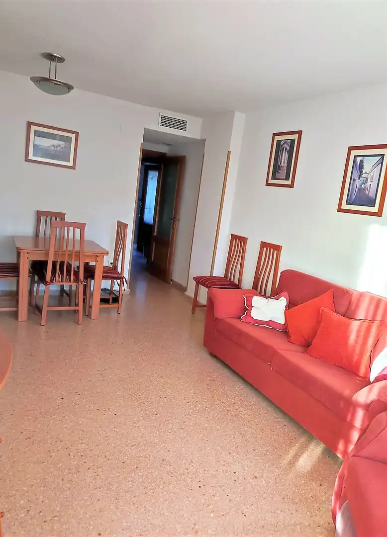 Sala de estar de Apartamento de alquiler en Alicante / Alacant con Aire acondicionado, Calefacción y Terraza