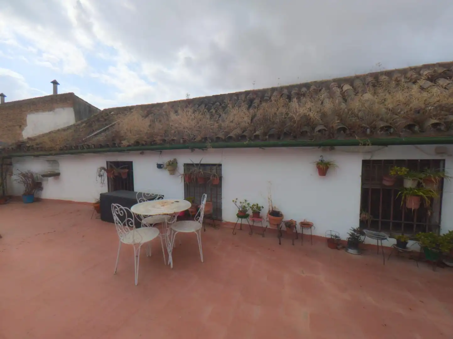 Jardí de Casa o xalet en venda en Córdoba