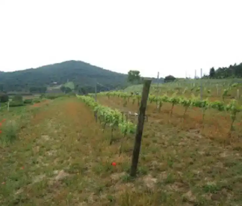 Finca rústica en venta en Tordera