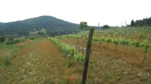 Foto 2 de Finca rústica en venta en Diseminado Veinat de Sant Daniel, 79, Mas Mora - Sant Daniel, Tordera