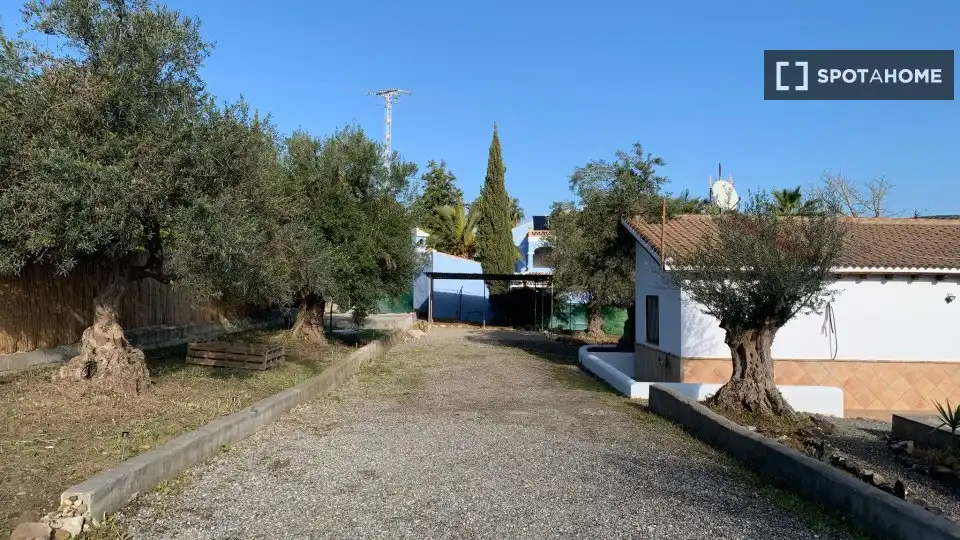 Habitación en Centro