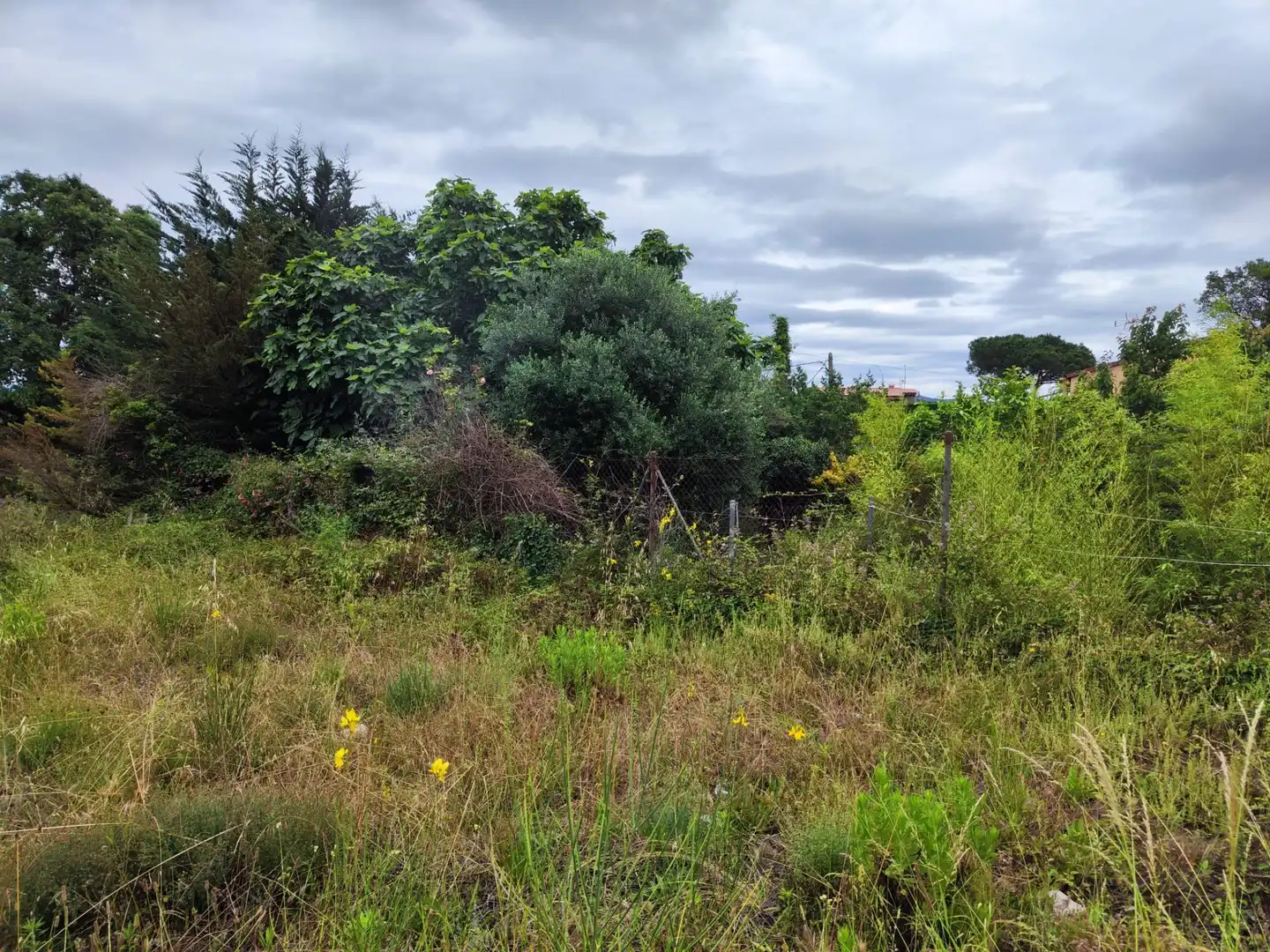 Lands and plots for sale in Llagostera, imagen 13
