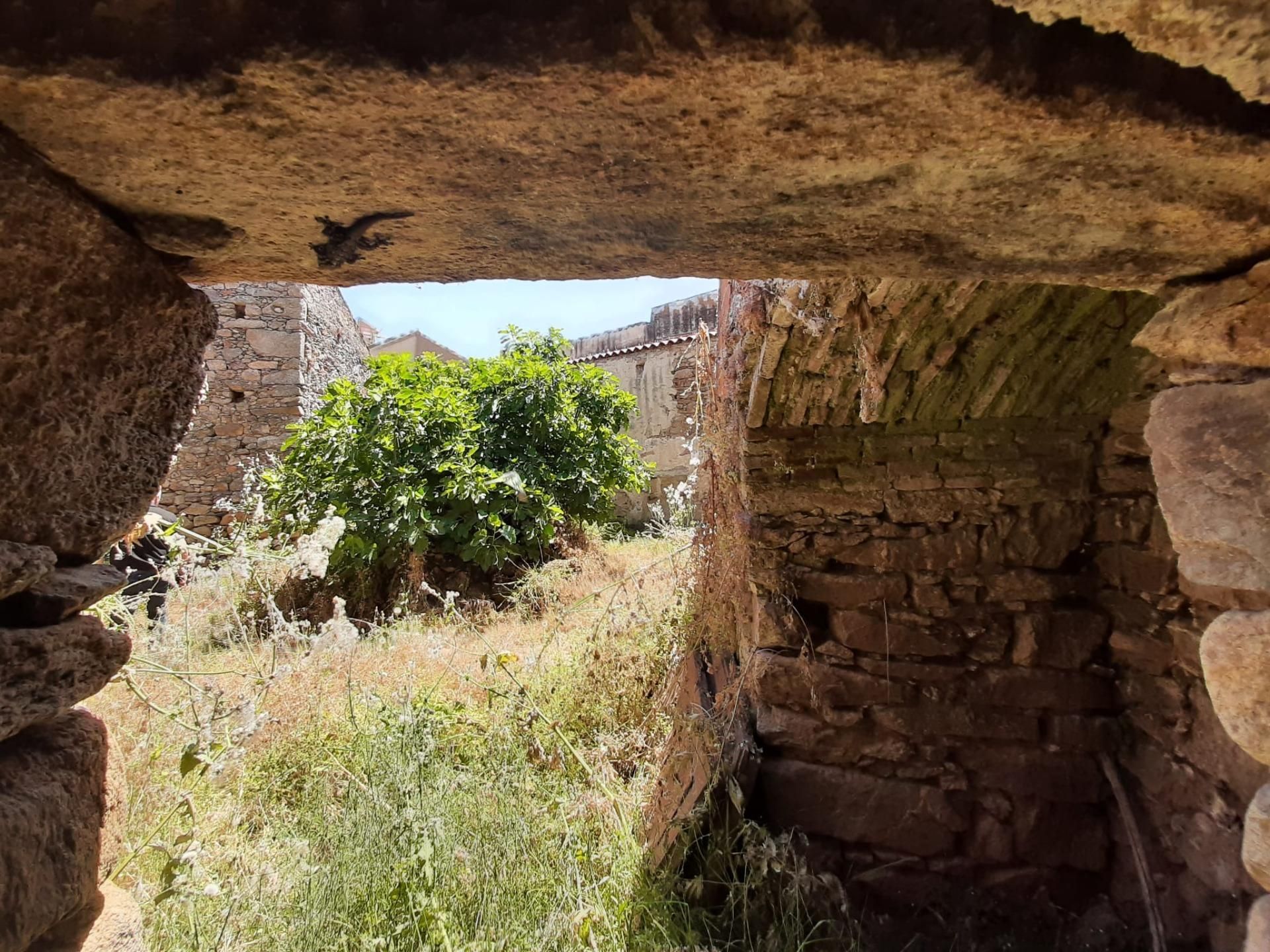 Jardí de Casa o xalet en venda en Valdefuentes amb Terrassa