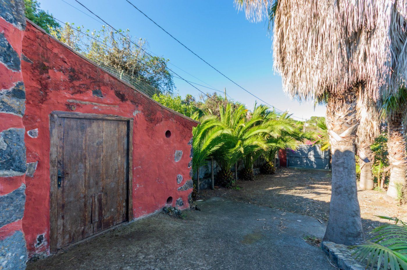 Vista exterior de Finca rústica en venda en Icod de los Vinos amb Jardí privat