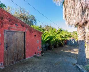 Vista exterior de Finca rústica en venda en Icod de los Vinos amb Jardí privat