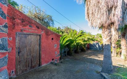 Vista exterior de Finca rústica en venda en Icod de los Vinos