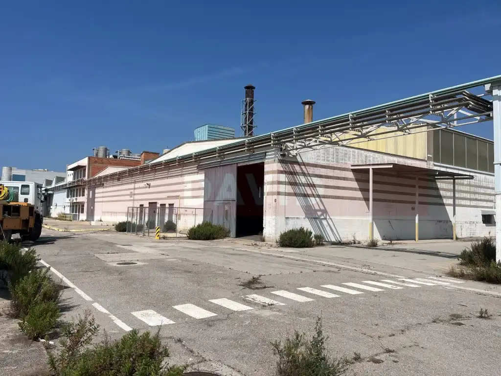 Industrial building for sale in Diseminados Poligon 39, imagen 34
