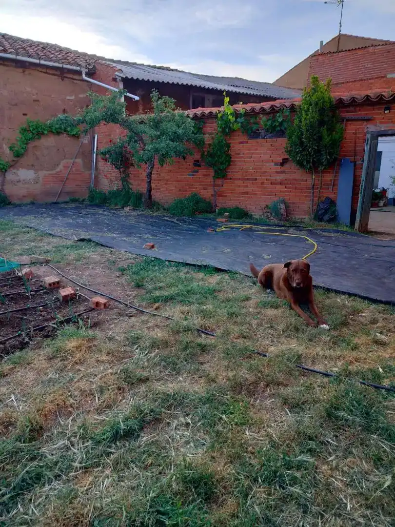 Jardí de Finca rústica en venda en Urdiales del Páramo