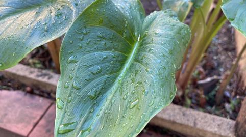 Photo 3 of House or chalet for sale in Cardedeu, Barcelona