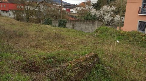 Monforte de LemosTerreno
