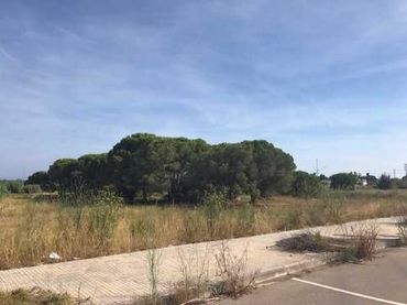 Terreno residenziale in vendita a ptda Sadolla S/n