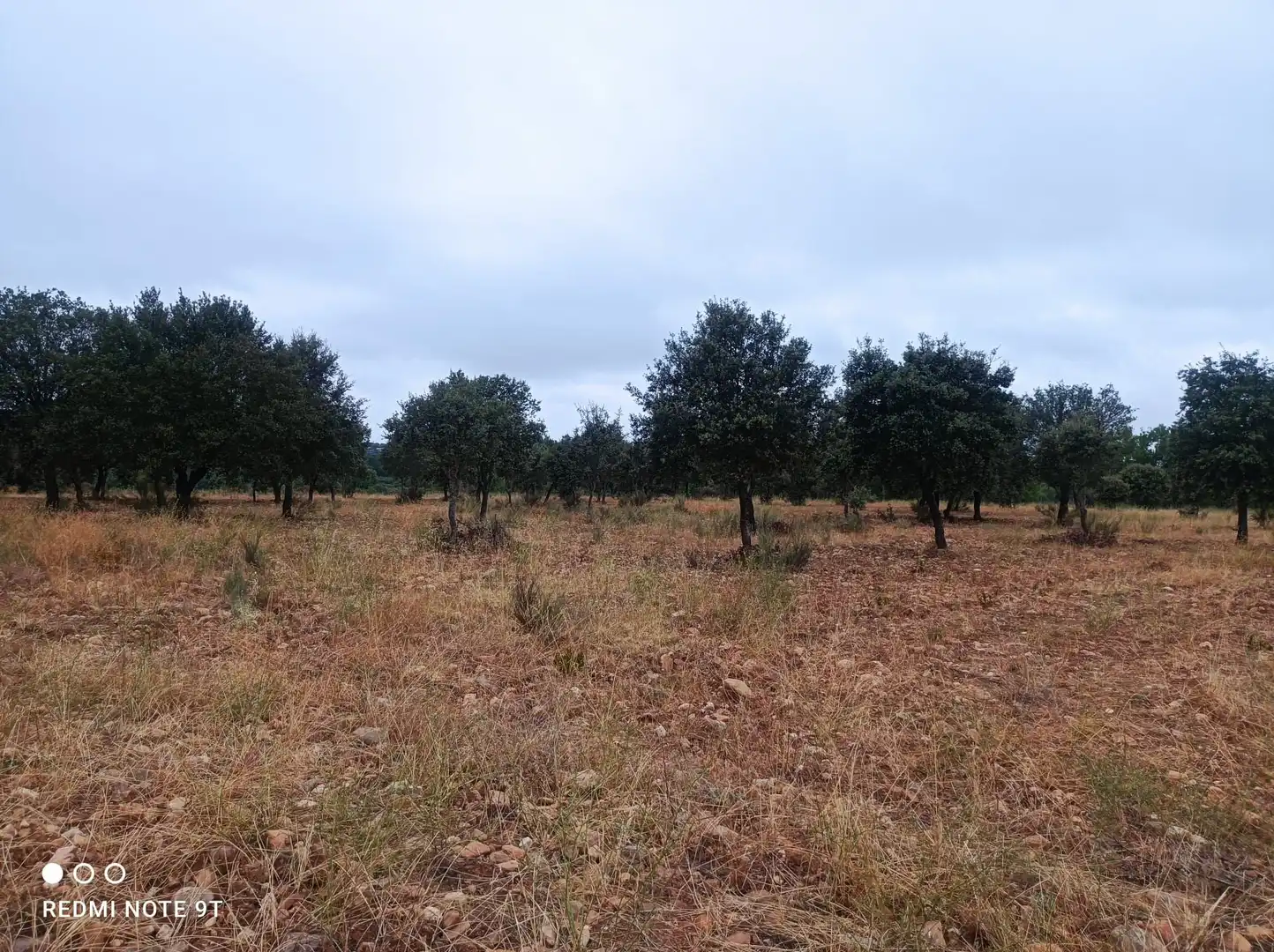Terreno rústico en venta en Ronda de Serradilla 10, imagen 6