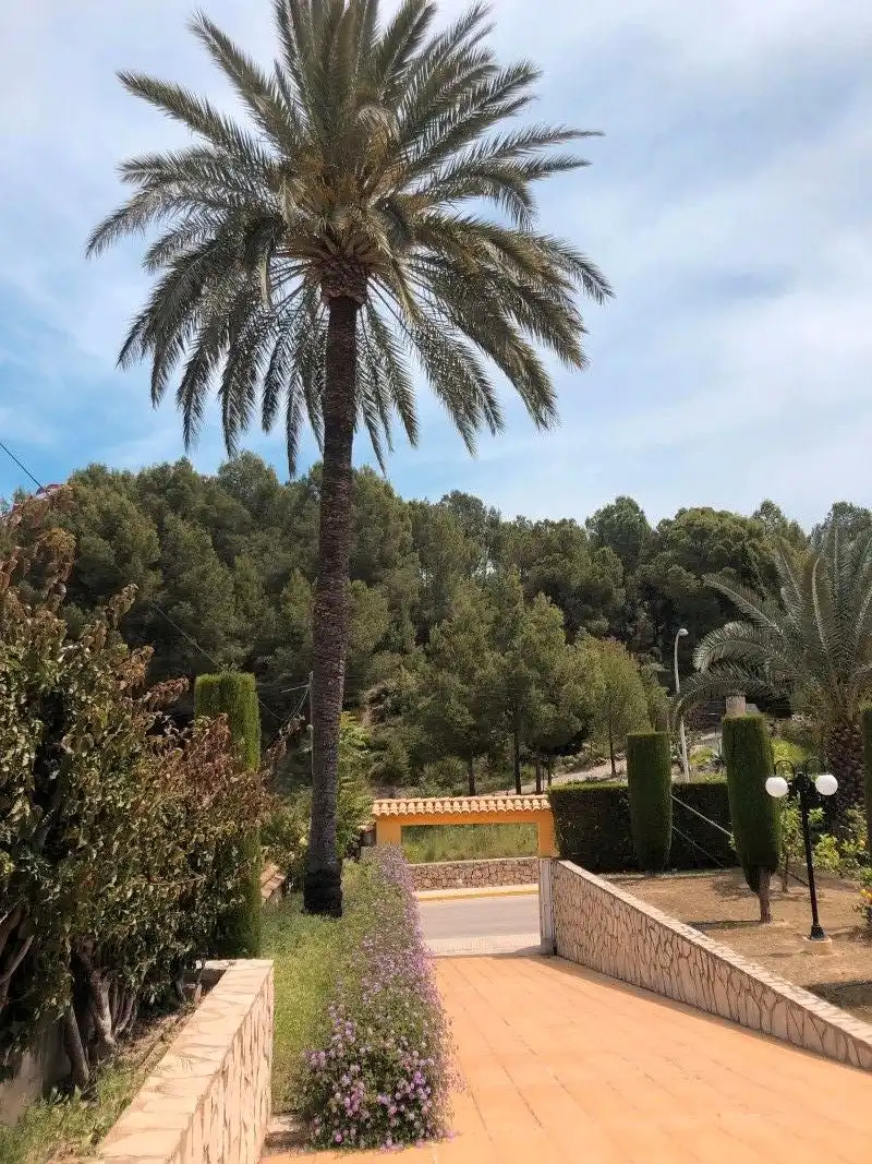 Villa mit Pool zum Verkauf in Oliva pueblo, imagen 87